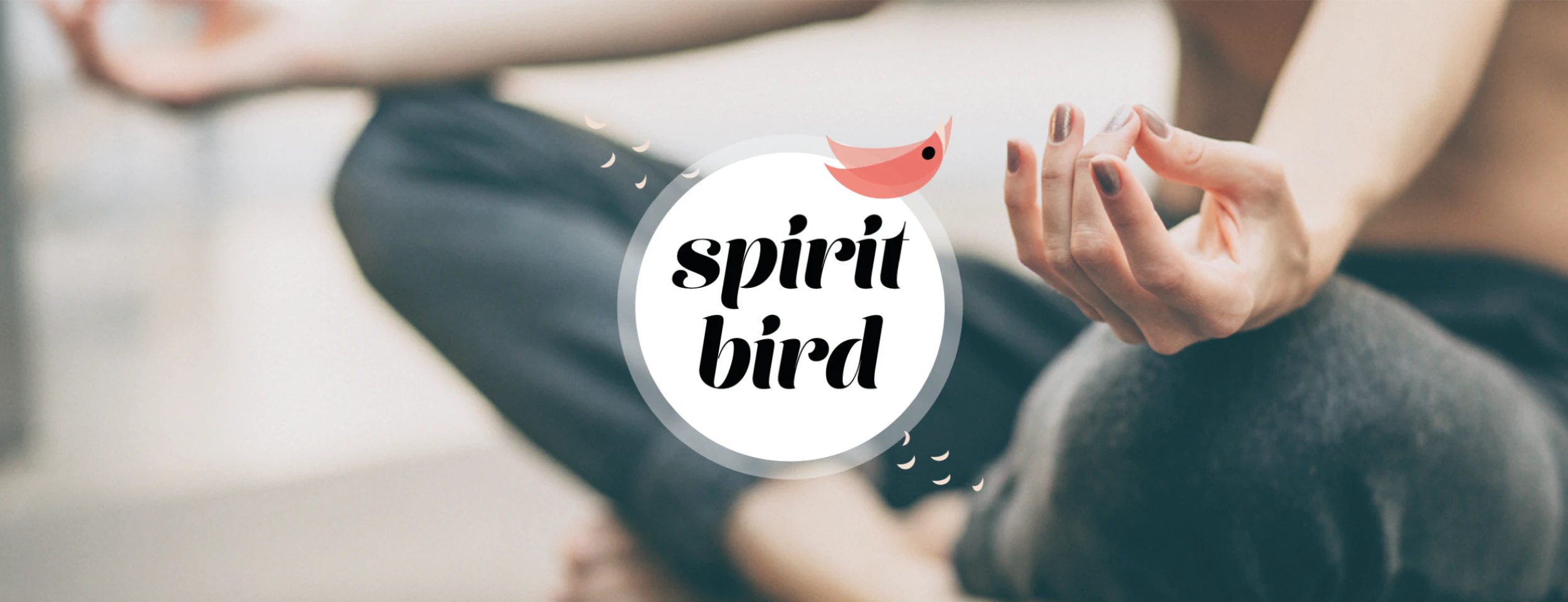 Spirit Bird